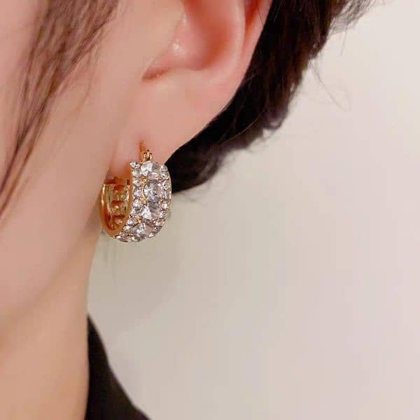 Korean Luxury Zirconium Hoops 2