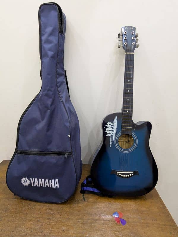 Paisen Guitar 1