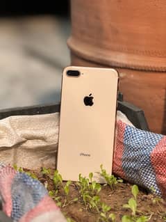 iphone 8 plus pta approved