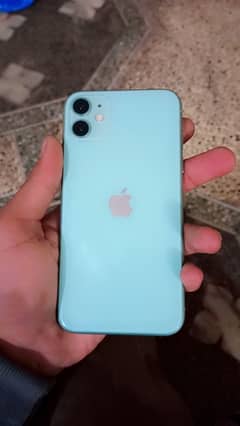 i phone 11 c green LLA model