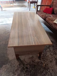 Center Table 3ft x 6ft