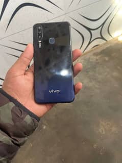 vivo