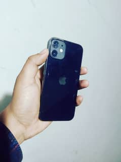 iPhone 12 mini