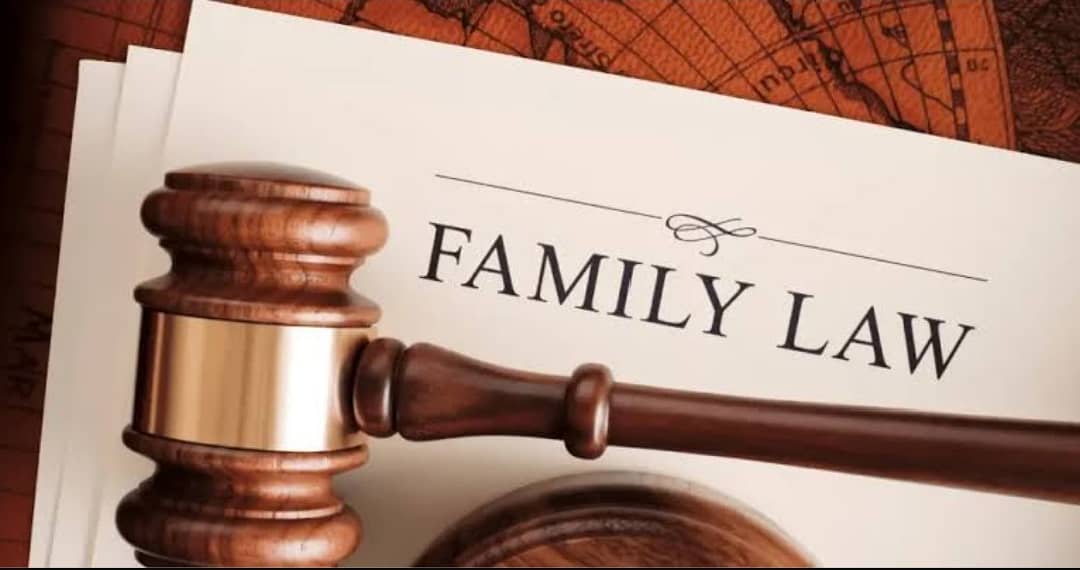 CIVIL, FAMILY & CRIMINAL matter lawyers 3