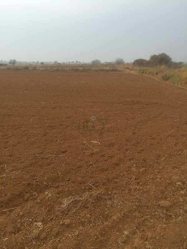 Land Available For Sale Main Chakbeli Road Rawat 0