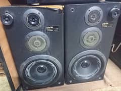 big sound pioneer speaker