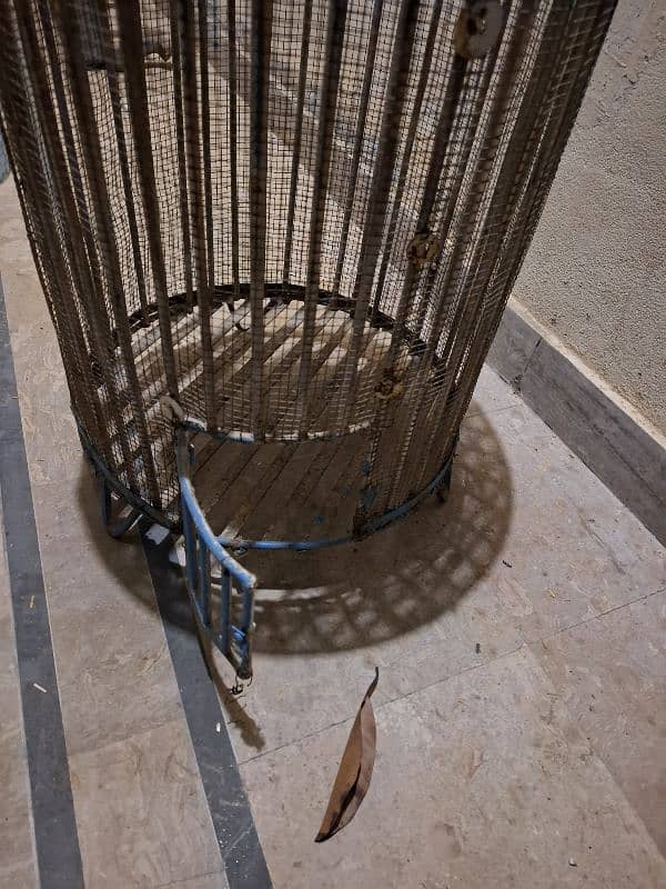 cage for parrots 4