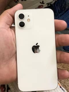 Iphone 12 Jv 64 gb white colour