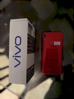 Vivo