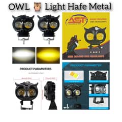 OWL LIGHT