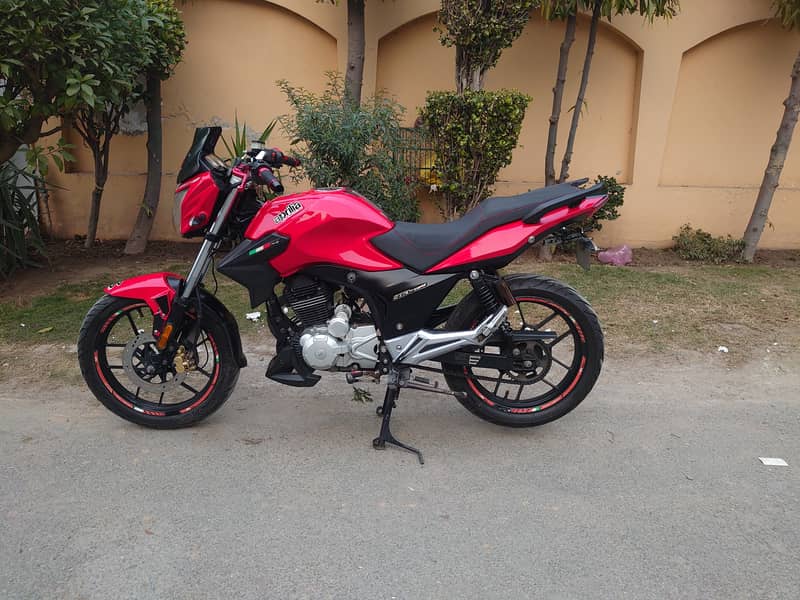 Derbi STX 2018 0