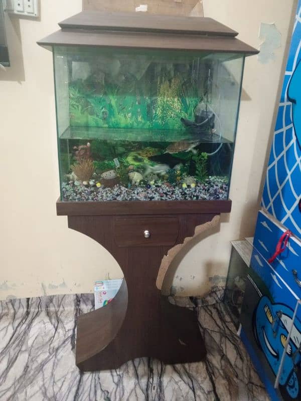 fish aquarium 4