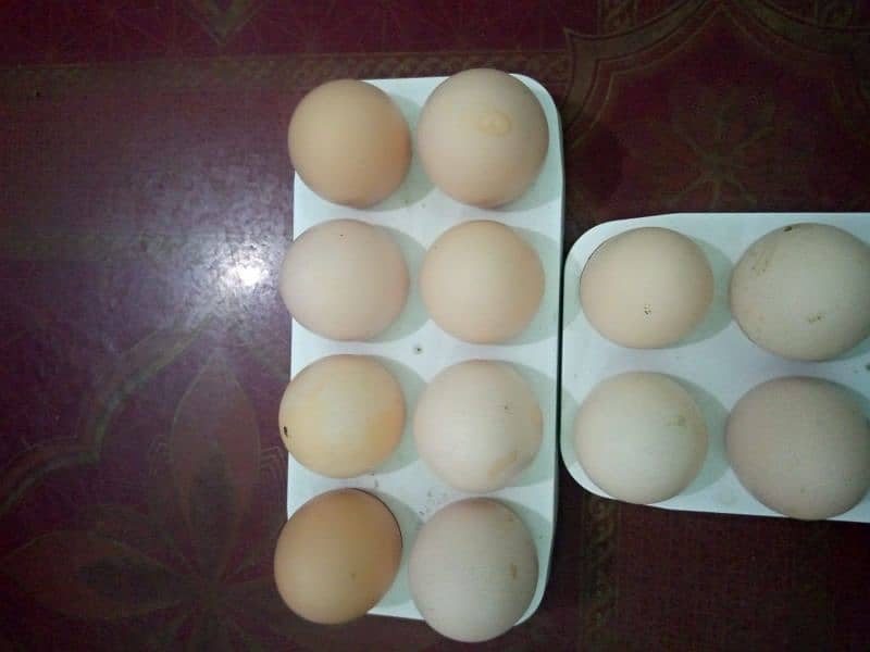 Desi Egg Available: Contact No# 0312-2449526. 2