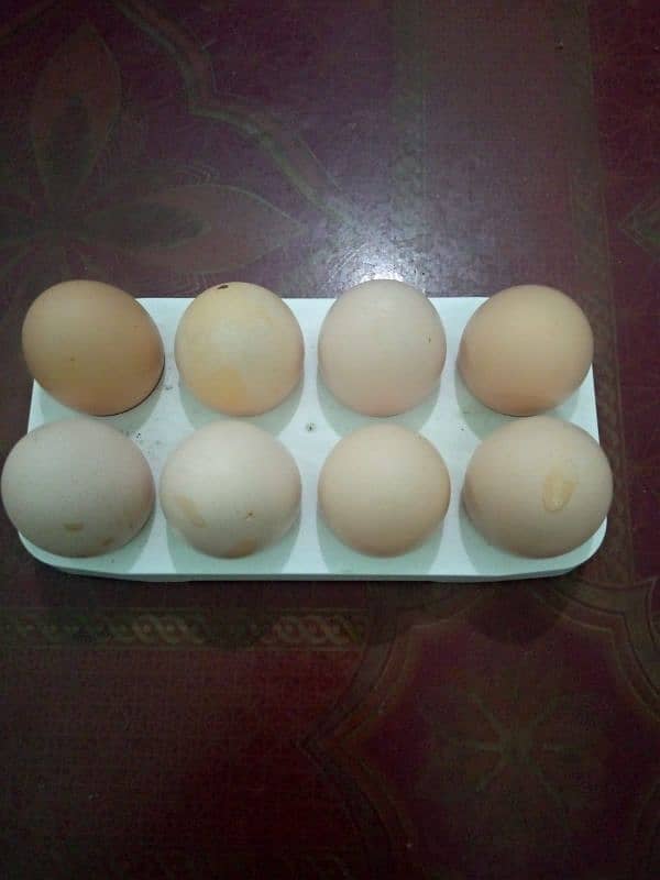 Desi Egg Available: Contact No# 0312-2449526. 4