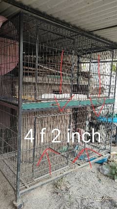 cage for hen parrots