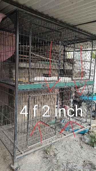 cage for hen parrots 0