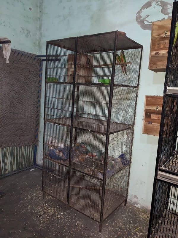 birds parratos or hens cage 0