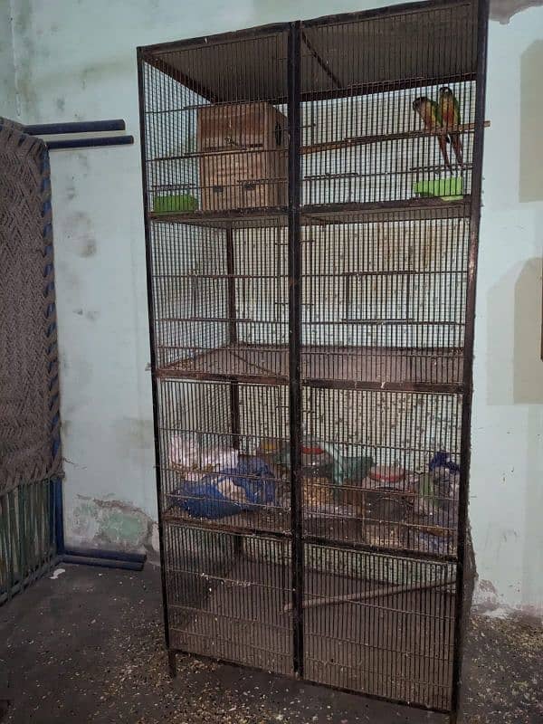 birds parratos or hens cage 1