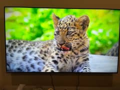 Samsung 55 inch TU7000 LED