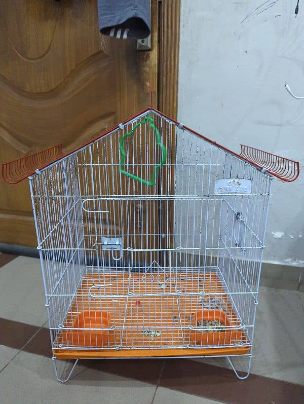 birds cage 0