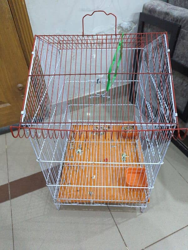 birds cage 1