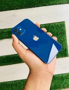 iPhone12 Just Like a New 100% health waterpack