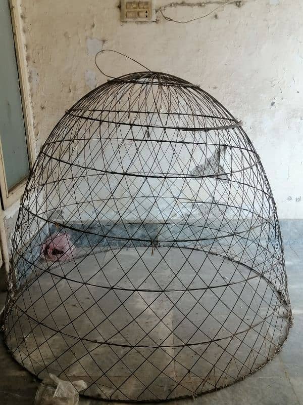 hen cage 0