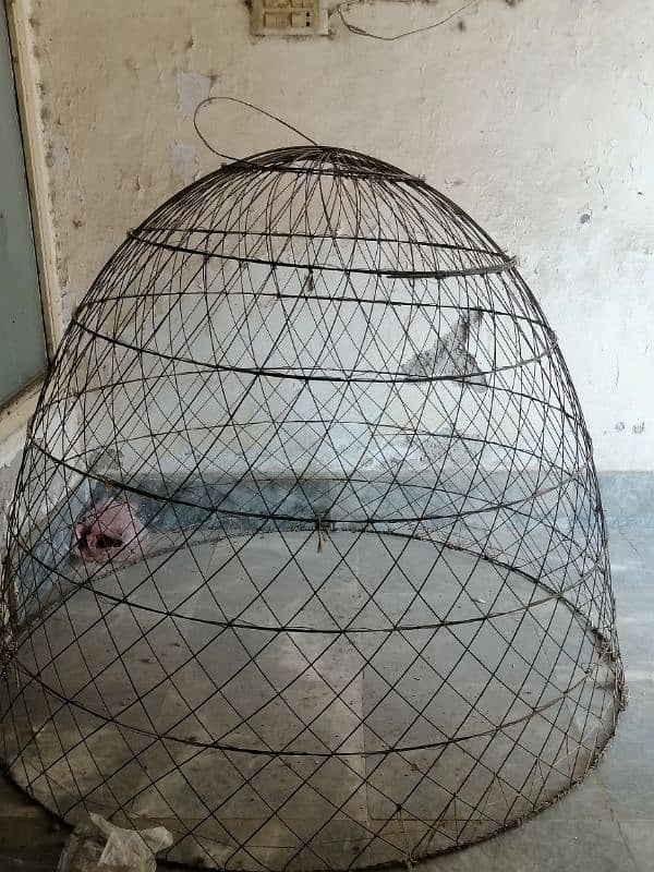 hen cage 1