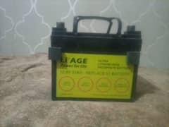 lithium ion phosphate battery