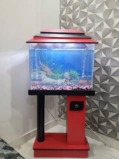 Fish aquarium with fishes