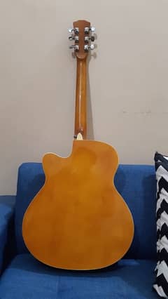 acoustic Guitar