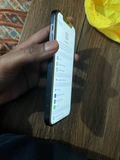 iphone 12 dual (pta approved)