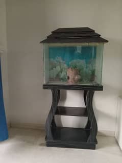 aquarium