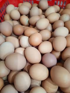 Desi eggs available 100% Organic,