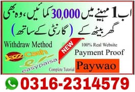 online earning