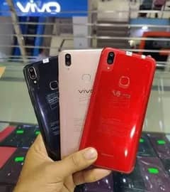 Vivo