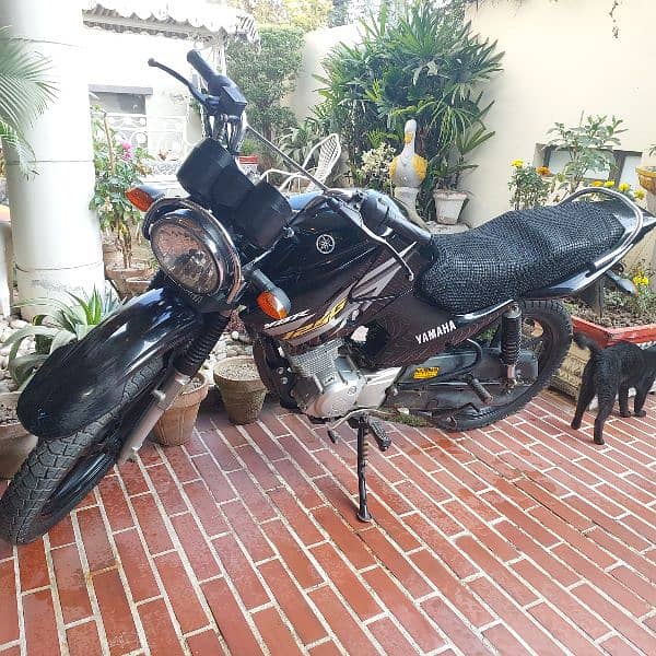 Yamaha YBR 125G Model 2018[TOTAL GENIUN] 1