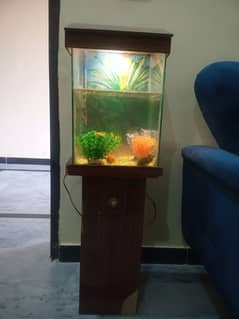 Fish Aquarium