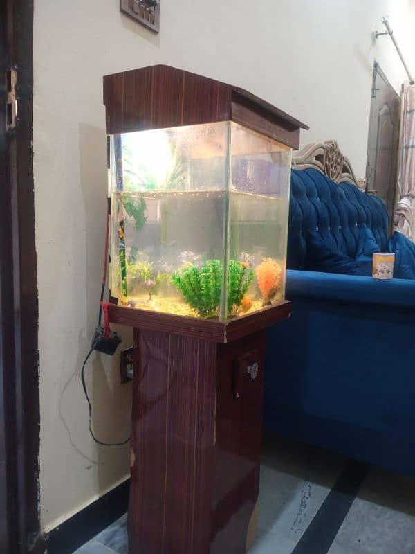 Fish Aquarium 2