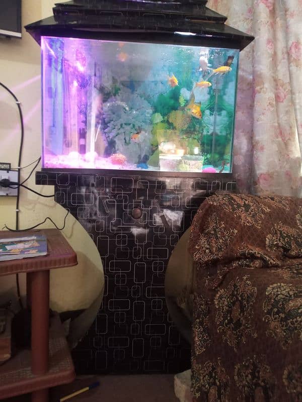 Fish Aquarium 0