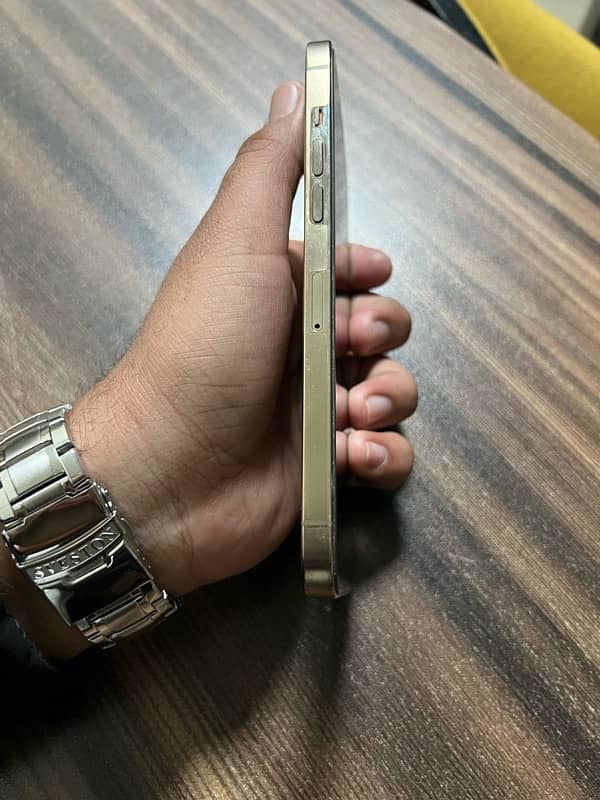 Iphone 12 Pro Max, Dual physical Pta. 1