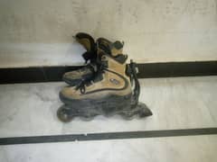 skates