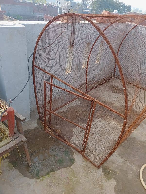 cage for bird and hens 2