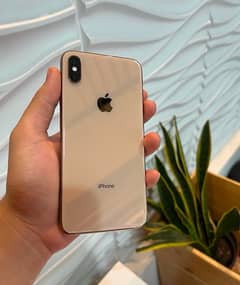 Iphone Xs Max dual sim pta