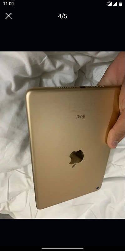 Ipad mini 4 6