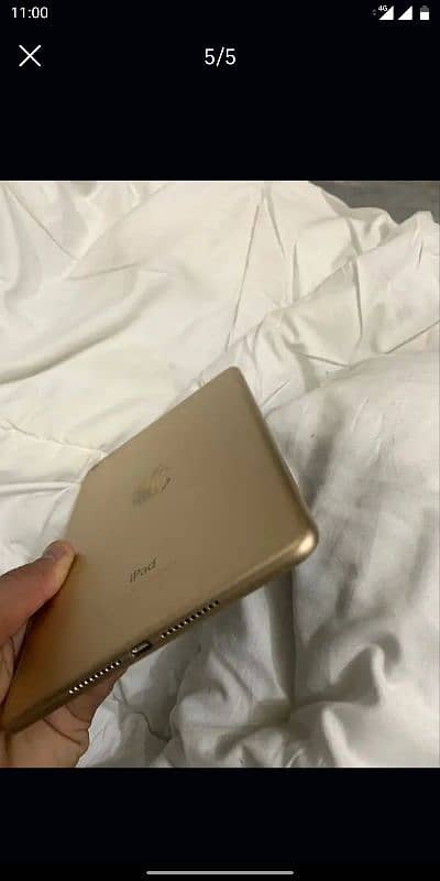 Ipad mini 4 7