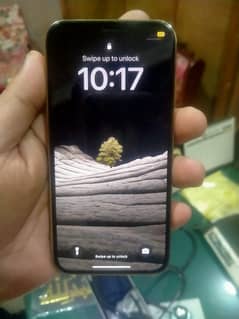 iphone 12pro