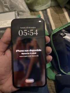 Apple iPhone 13 icloud locked