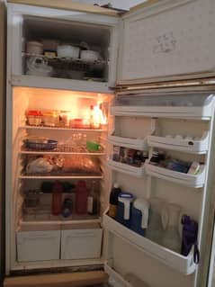 Fridge