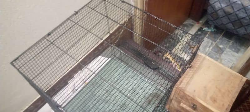 Cage for bird's 0